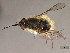  ( - 08BBDIP-0689)  @12 [ ] CreativeCommons - Attribution (2009) Unspecified Centre for Biodiversity Genomics