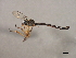  ( - 08BBDIP-0702)  @13 [ ] CreativeCommons - Attribution (2009) Unspecified Centre for Biodiversity Genomics