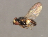 ( - 08BBDIP-0712)  @13 [ ] CreativeCommons - Attribution (2009) Unspecified Centre for Biodiversity Genomics