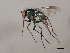  ( - 08BBDIP-0738)  @12 [ ] CreativeCommons - Attribution (2009) Unspecified Centre for Biodiversity Genomics