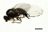  ( - 08BBDIP-1972)  @12 [ ] CreativeCommons - Attribution (2009) Unspecified Centre for Biodiversity Genomics