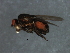  ( - 08BBDIP-2055)  @13 [ ] CreativeCommons - Attribution (2009) Unspecified Centre for Biodiversity Genomics