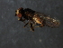  ( - 08BBDIP-2085)  @12 [ ] CreativeCommons - Attribution (2009) Unspecified Centre for Biodiversity Genomics