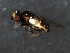  ( - 08BBDIP-2086)  @12 [ ] CreativeCommons - Attribution (2009) Unspecified Centre for Biodiversity Genomics
