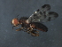  ( - 08BBDIP-2143)  @12 [ ] CreativeCommons - Attribution (2009) Unspecified Centre for Biodiversity Genomics
