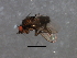  ( - 08BBDIP-2172)  @13 [ ] CreativeCommons - Attribution (2009) Unspecified Centre for Biodiversity Genomics