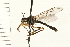 ( - DIPT 0023.02)  @13 [ ] CreativeCommons - Attribution (2008) Unspecified Centre for Biodiversity Genomics