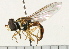  ( - 08FAYTT-0014)  @14 [ ] CreativeCommons - Attribution (2009) Unspecified Centre for Biodiversity Genomics