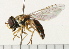  ( - 08FAYTT-0015)  @14 [ ] CreativeCommons - Attribution (2009) Unspecified Centre for Biodiversity Genomics