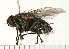  ( - 08FAYTT-0026)  @12 [ ] CreativeCommons - Attribution (2009) Unspecified Centre for Biodiversity Genomics