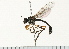  ( - 08FAYTT-0032)  @13 [ ] CreativeCommons - Attribution (2009) Unspecified Centre for Biodiversity Genomics