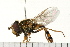  ( - 08FAYTT-0044)  @13 [ ] CreativeCommons - Attribution (2009) Unspecified Centre for Biodiversity Genomics