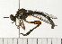  ( - 08FAYTT-0052)  @13 [ ] CreativeCommons - Attribution (2009) Unspecified Centre for Biodiversity Genomics