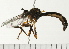  ( - 08FAYTT-0054)  @12 [ ] CreativeCommons - Attribution (2009) Unspecified Centre for Biodiversity Genomics