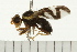  ( - 08FAYTT-0071)  @13 [ ] CreativeCommons - Attribution (2009) Unspecified Centre for Biodiversity Genomics