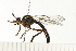  ( - 08FAYTT-0089)  @13 [ ] CreativeCommons - Attribution (2009) Unspecified Centre for Biodiversity Genomics