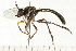  ( - 08FAYTT-0090)  @13 [ ] CreativeCommons - Attribution (2009) Unspecified Centre for Biodiversity Genomics