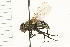  ( - HLC-17755)  @13 [ ] CreativeCommons - Attribution (2009) Unspecified Centre for Biodiversity Genomics