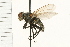  ( - HLC-17757)  @14 [ ] CreativeCommons - Attribution (2009) Unspecified Centre for Biodiversity Genomics