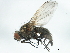  ( - 08BBDIP-0790)  @14 [ ] CreativeCommons - Attribution (2009) Unspecified Centre for Biodiversity Genomics