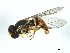  ( - 08BBDIP-0795)  @14 [ ] CreativeCommons - Attribution (2009) Unspecified Centre for Biodiversity Genomics