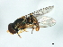  ( - 08BBDIP-0797)  @14 [ ] CreativeCommons - Attribution (2009) Unspecified Centre for Biodiversity Genomics