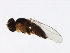  ( - 08BBDIP-0844)  @12 [ ] CreativeCommons - Attribution (2009) Unspecified Centre for Biodiversity Genomics