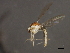  ( - 08BBDIP-1861)  @12 [ ] CreativeCommons - Attribution (2009) Unspecified Centre for Biodiversity Genomics