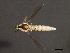 ( - 08BBDIP-1894)  @12 [ ] CreativeCommons - Attribution (2009) Unspecified Centre for Biodiversity Genomics