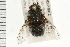  ( - 08BBDIP-0012)  @13 [ ] CreativeCommons - Attribution (2008) Unspecified Centre for Biodiversity Genomics