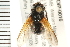  ( - 08BBDIP-0016)  @12 [ ] CreativeCommons - Attribution (2008) Unspecified Centre for Biodiversity Genomics