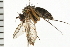  ( - 08BBDIP-0033)  @13 [ ] CreativeCommons - Attribution (2008) Unspecified Centre for Biodiversity Genomics