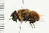  ( - 08BBDIP-0084)  @13 [ ] CreativeCommons - Attribution (2008) Unspecified Centre for Biodiversity Genomics