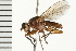  ( - 08BBDIP-0132)  @14 [ ] CreativeCommons - Attribution (2008) Unspecified Centre for Biodiversity Genomics