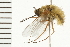 ( - 08BBDIP-0143)  @12 [ ] CreativeCommons - Attribution (2008) Unspecified Centre for Biodiversity Genomics