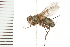  ( - 08BBDIP-0272)  @13 [ ] CreativeCommons - Attribution (2008) Unspecified Centre for Biodiversity Genomics