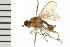  ( - 08BBDIP-0339)  @13 [ ] CreativeCommons - Attribution (2008) Unspecified Centre for Biodiversity Genomics