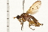  ( - 08BBDIP-0395)  @14 [ ] CreativeCommons - Attribution (2008) Unspecified Centre for Biodiversity Genomics