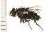  ( - 08BBDIP-0432)  @12 [ ] CreativeCommons - Attribution (2008) Unspecified Centre for Biodiversity Genomics