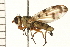  ( - 08BBDIP-0461)  @14 [ ] CreativeCommons - Attribution (2008) Unspecified Centre for Biodiversity Genomics