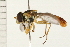  ( - 08BBDIP-0463)  @13 [ ] CreativeCommons - Attribution (2008) Unspecified Centre for Biodiversity Genomics