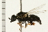  ( - 08BBDIP-0471)  @13 [ ] CreativeCommons - Attribution (2008) Unspecified Centre for Biodiversity Genomics