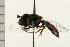  ( - 08BBDIP-0473)  @13 [ ] CreativeCommons - Attribution (2008) Unspecified Centre for Biodiversity Genomics