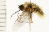  ( - 08BBDIP-0484)  @14 [ ] CreativeCommons - Attribution (2008) Unspecified Centre for Biodiversity Genomics