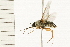  ( - 08BBDIP-0486)  @12 [ ] CreativeCommons - Attribution (2008) Unspecified Centre for Biodiversity Genomics
