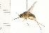  ( - 08BBDIP-0517)  @12 [ ] CreativeCommons - Attribution (2008) Unspecified Centre for Biodiversity Genomics