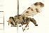  ( - 08BBDIP-0524)  @14 [ ] CreativeCommons - Attribution (2008) Unspecified Centre for Biodiversity Genomics