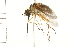 ( - 08BBDIP-0527)  @13 [ ] CreativeCommons - Attribution (2008) Unspecified Centre for Biodiversity Genomics