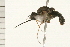 ( - 08BBDIP-0540)  @12 [ ] CreativeCommons - Attribution (2008) Unspecified Centre for Biodiversity Genomics