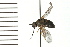  ( - 08BBDIP-0560)  @13 [ ] CreativeCommons - Attribution (2008) Unspecified Centre for Biodiversity Genomics